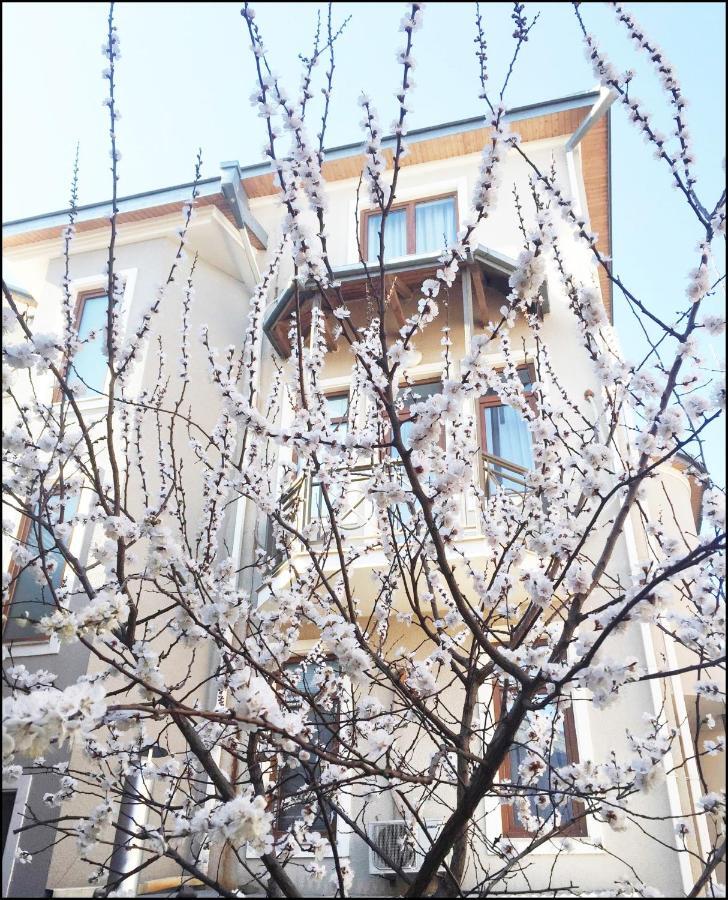 Aia Hotel Tbilisi Exterior foto